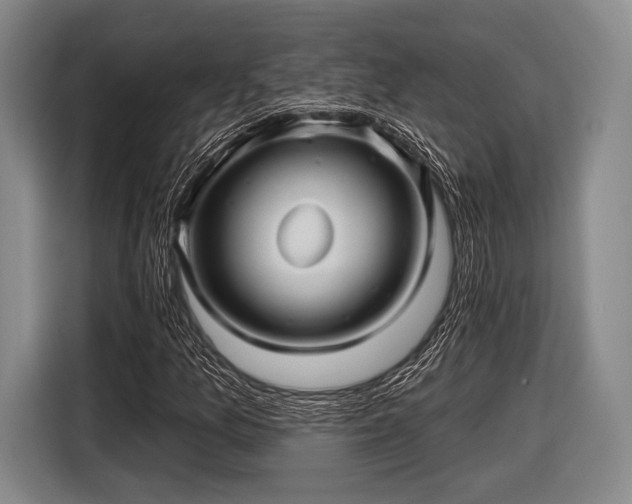 X0000116591157200912171547