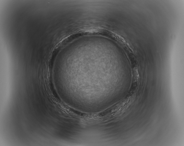 X0000116591158200912171547