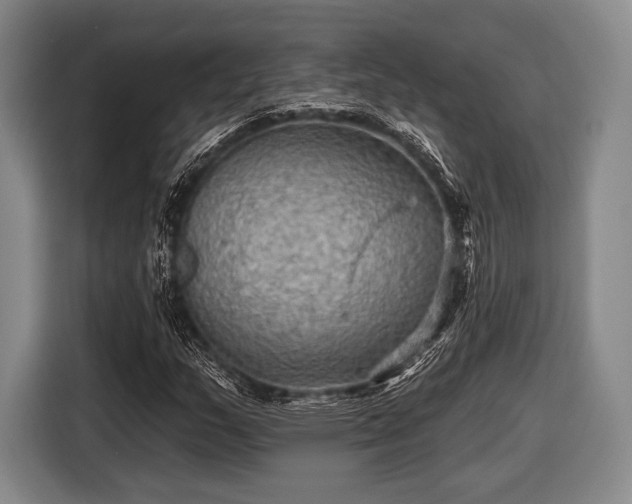 X0000116591159200912171547