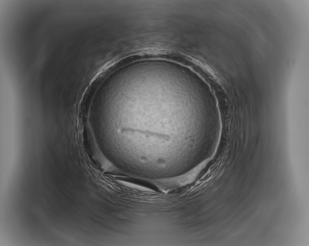 X0000116591160200912171547