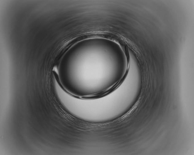 X0000116591161200912171547