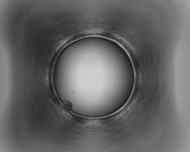 X0000116591162200912171547