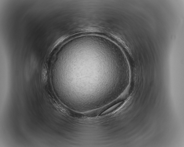 X0000116591163200912171547