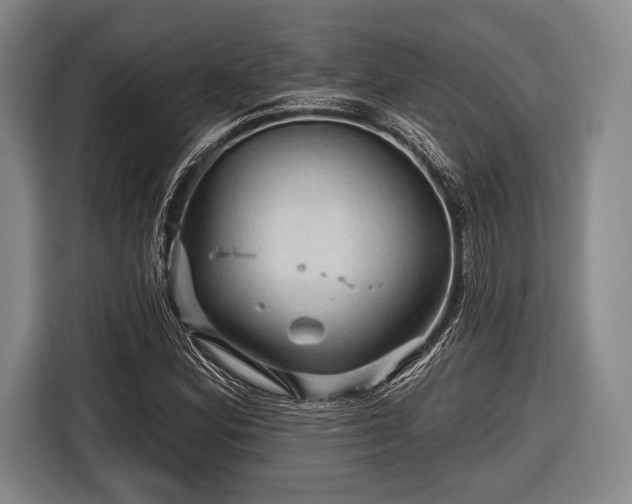 X0000116591164200912171547