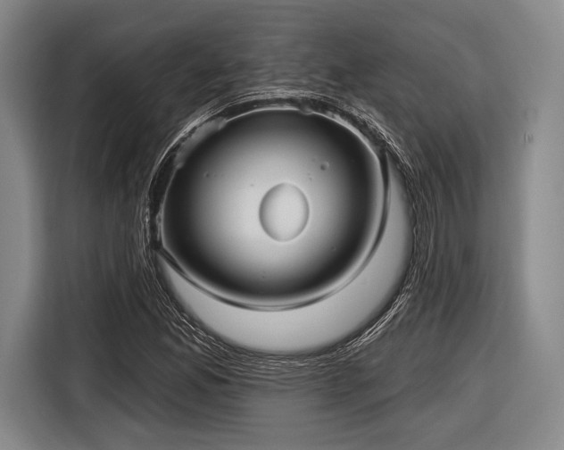 X0000116591165200912171547