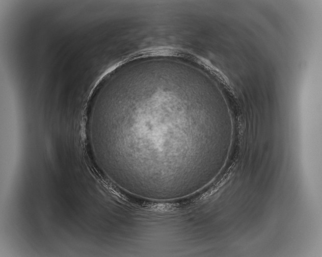 X0000116591166200912171547