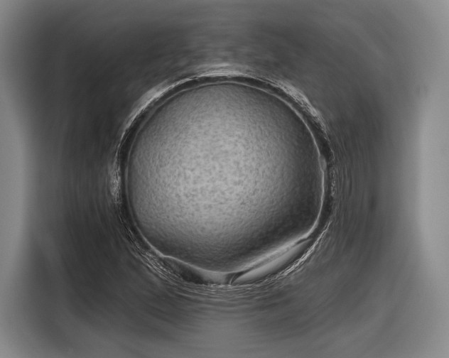 X0000116591167200912171547