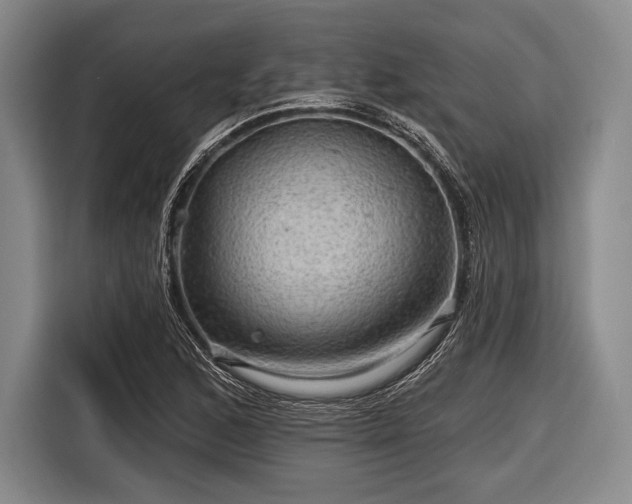 X0000116591168200912171547