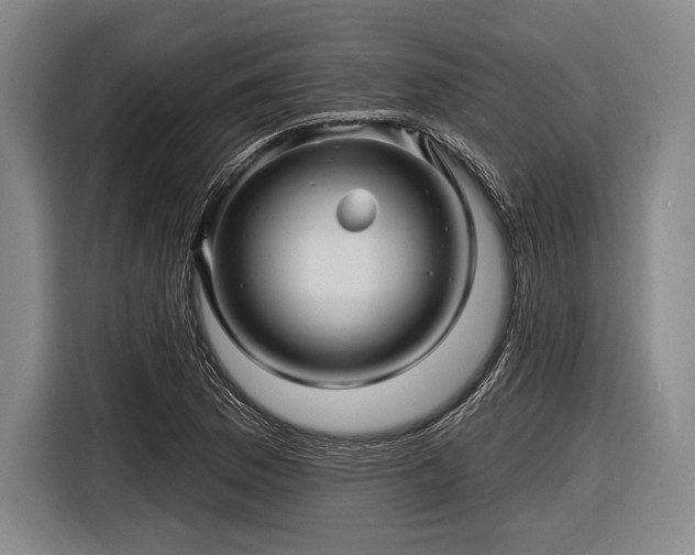 X0000116591169200912171547