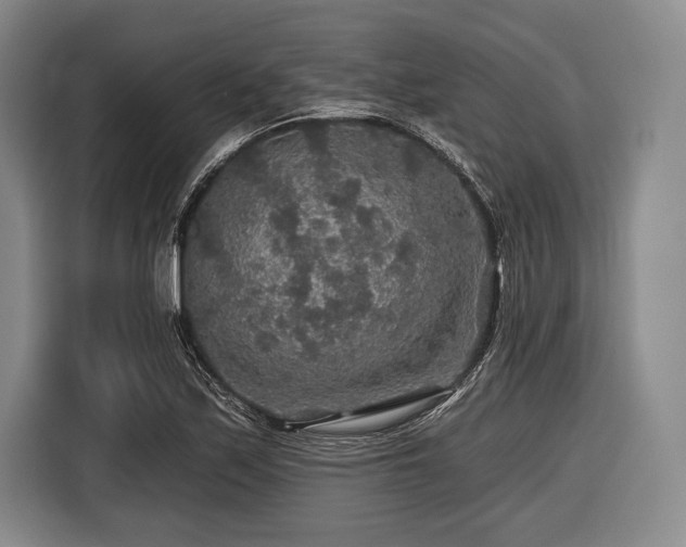 X0000116591171200912171547