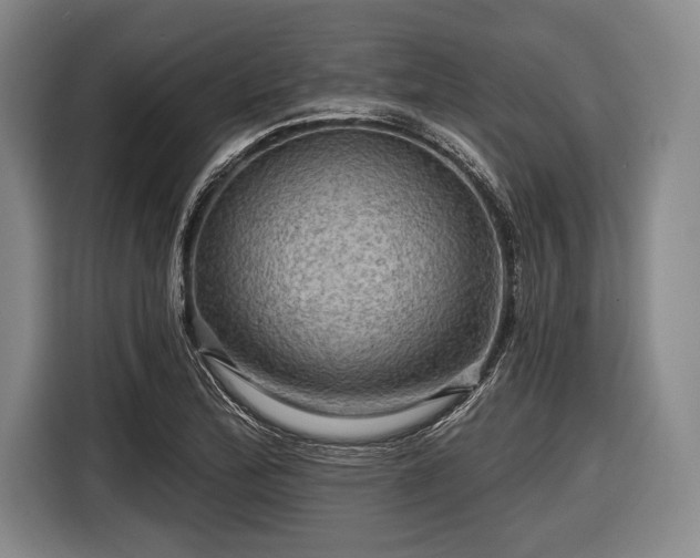 X0000116591172200912171547