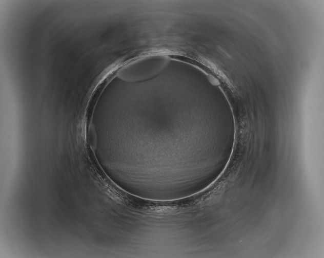 X0000116591173200912171547