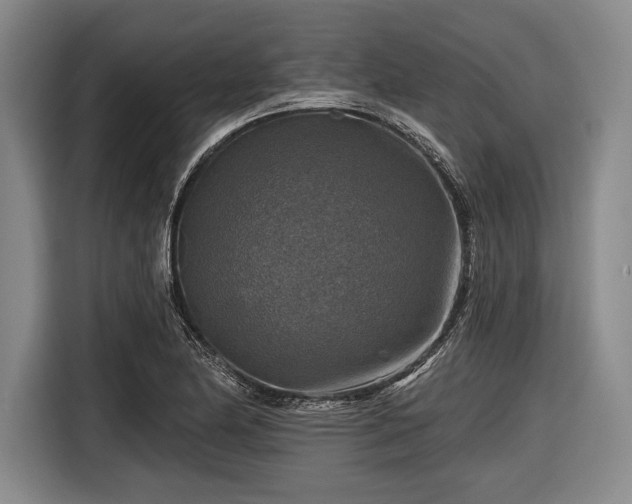 X0000116591174200912171547