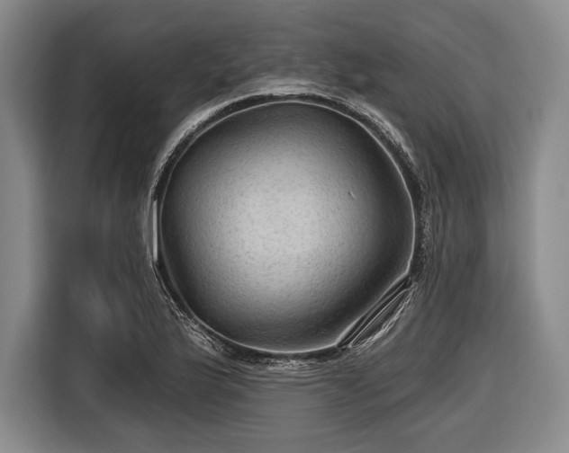 X0000116591175200912171547