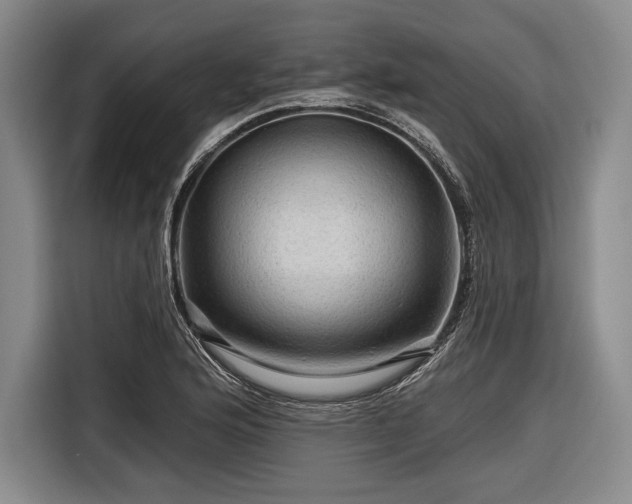 X0000116591176200912171547