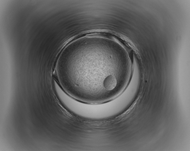 X0000116591177200912171547