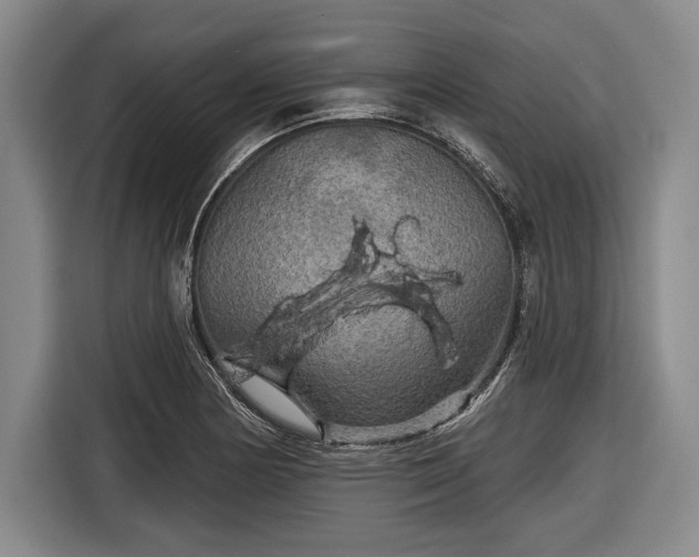 X0000116591178200912171547