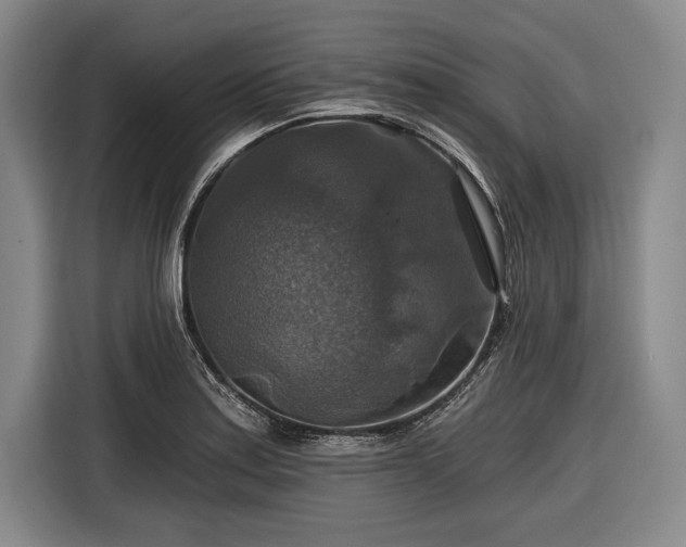 X0000116591179200912171547