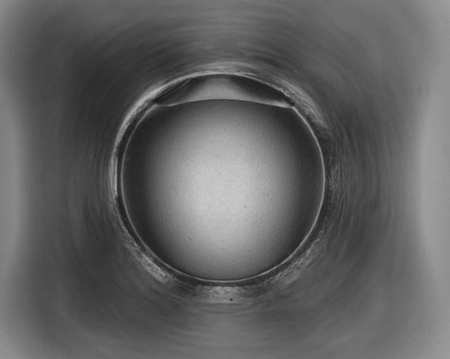 X0000116591180200912171547