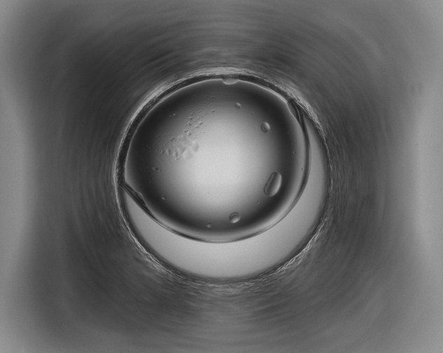 X0000116591181200912171547