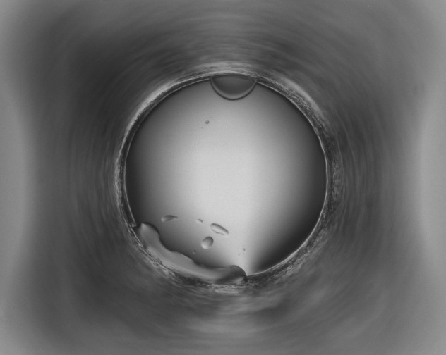 X0000116591182200912171547