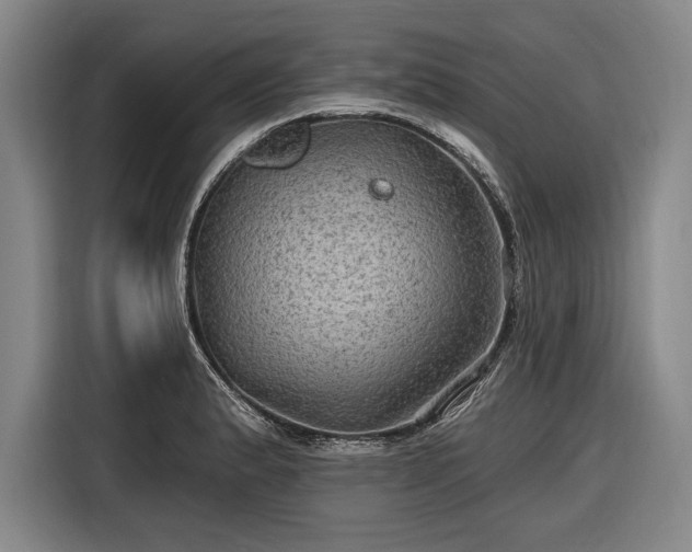 X0000116591183200912171547