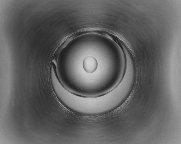 X0000116591185200912171547