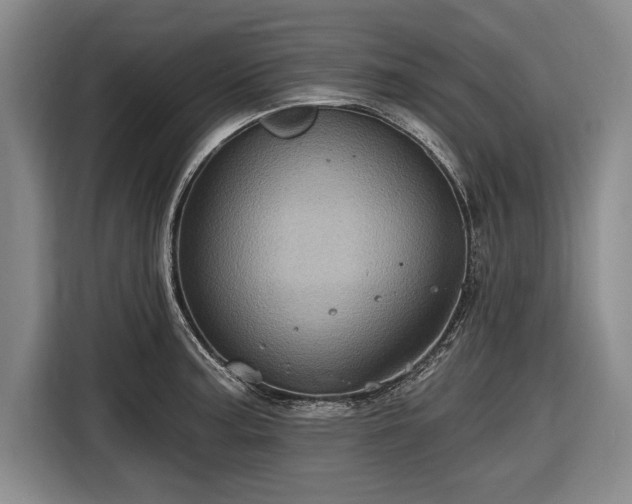 X0000116591187200912171547