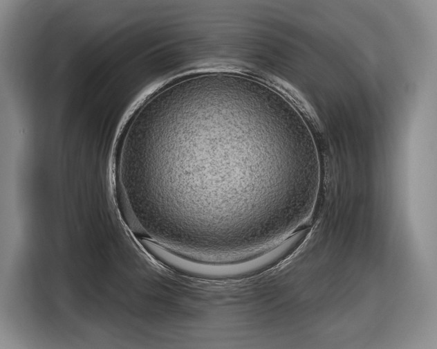 X0000116591188200912171547