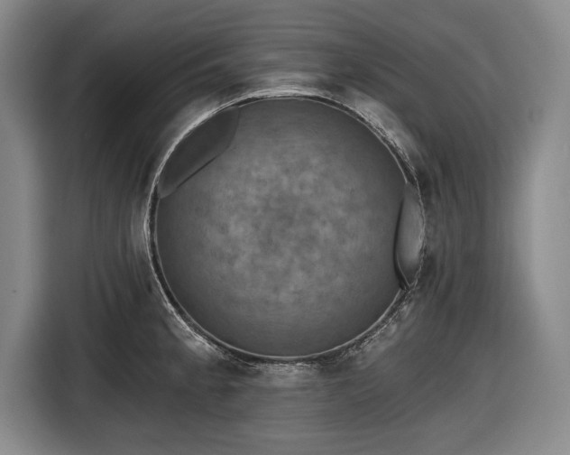 X0000116591189200912171547