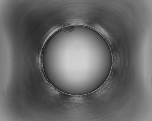 X0000116591190200912171547