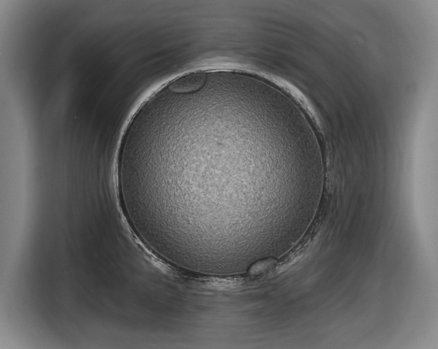 X0000116591191200912171547