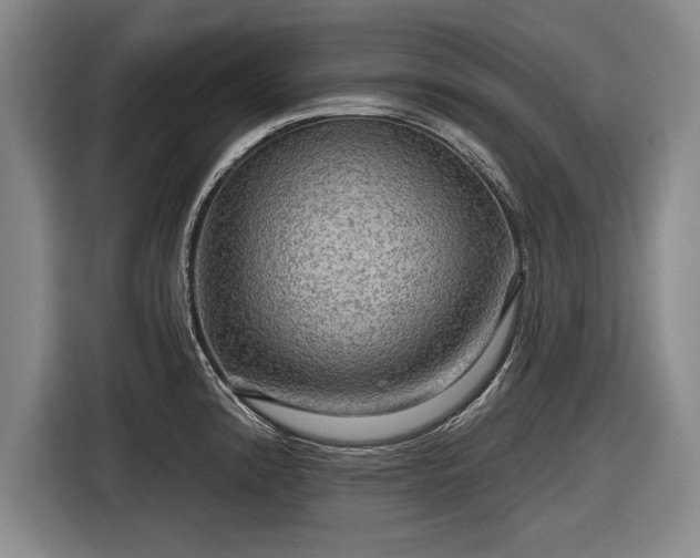 X0000116591192200912171547