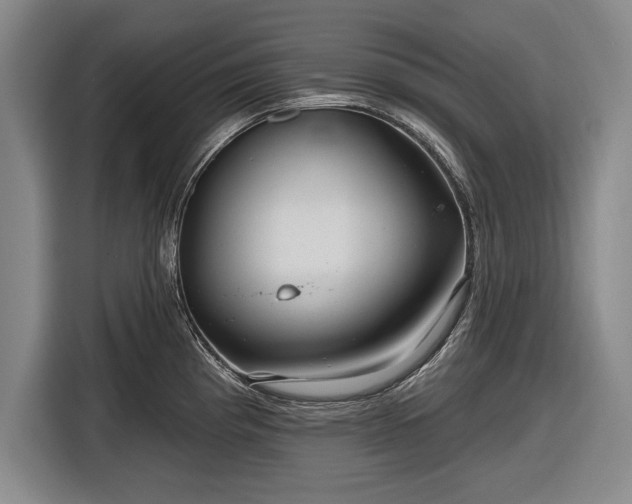 X0000116591193200912171547