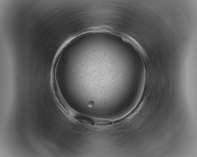 X0000116591196200912171547