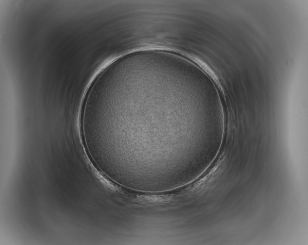 X0000116591197200912171547