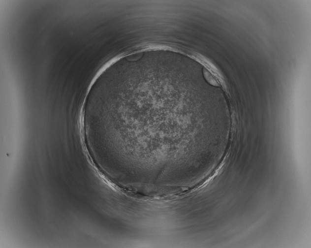 X0000116591198200912171547