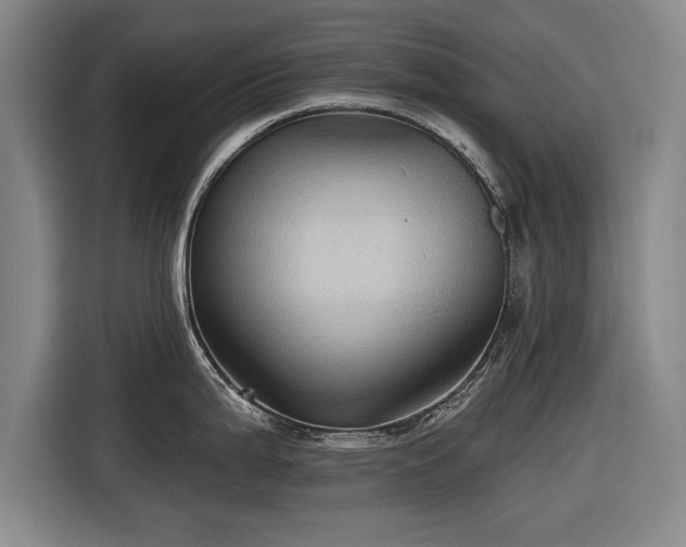 X0000116591199200912171547