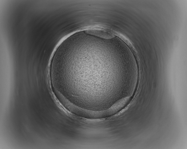 X0000116591200200912171547