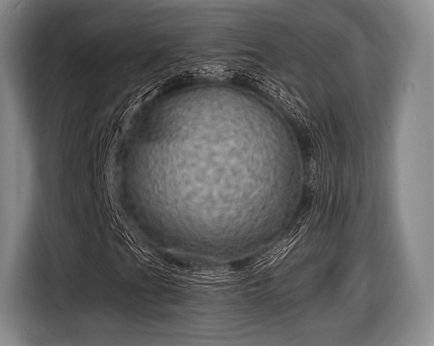 X0000116591201200912171546