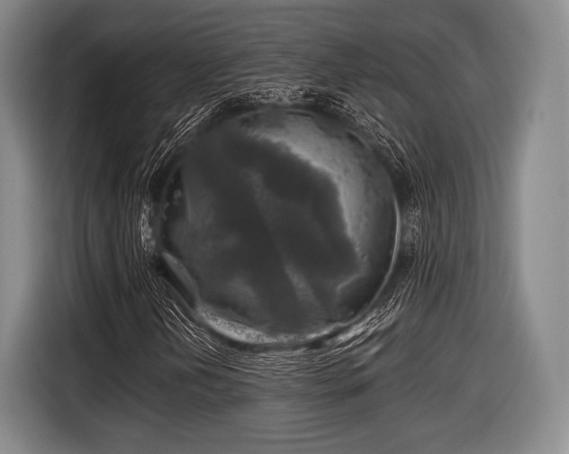 X0000116591202200912171546