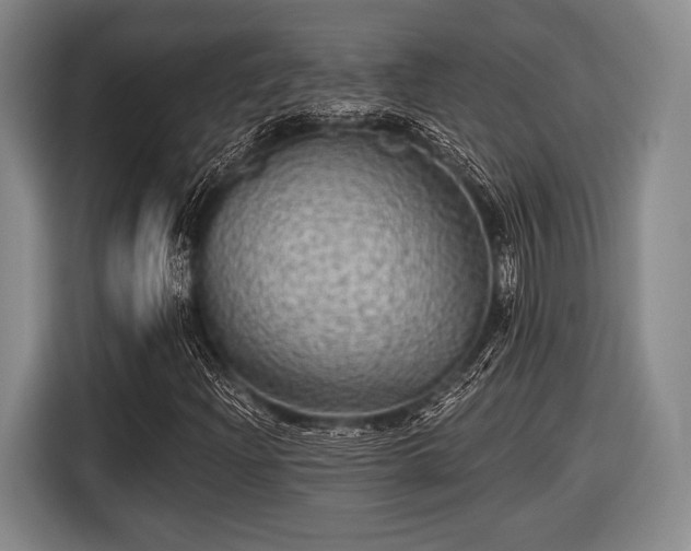 X0000116591204200912171546