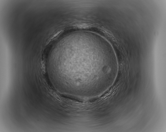 X0000116591205200912171546