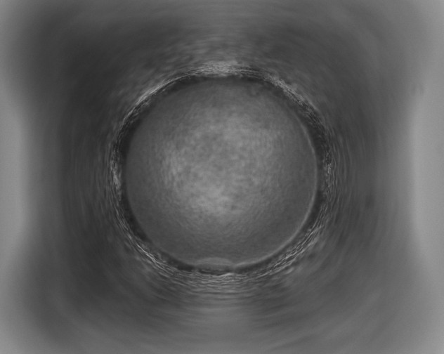 X0000116591206200912171546