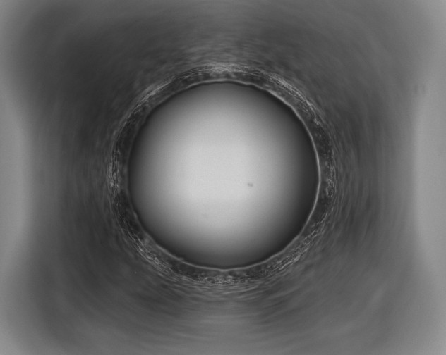 X0000116591207200912171546