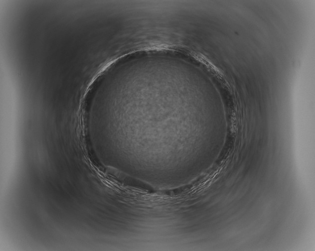 X0000116591208200912171546