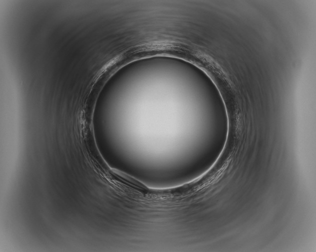 X0000116591210200912171546