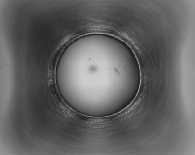 X0000116591211200912171546