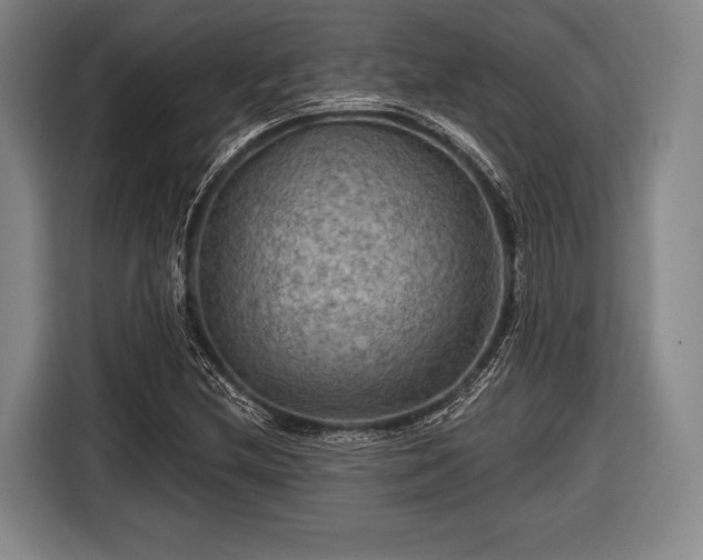 X0000116591212200912171546