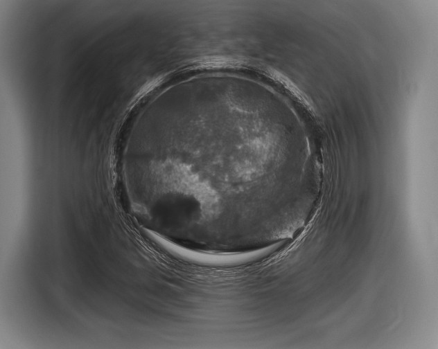 X0000116591213200912171546